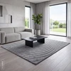 Eurofirany DY/BLINK2 STAL 60X100 / 8MM