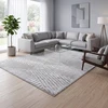Eurofirany DY/NOVA1 SREB 120X170 / 8MM