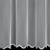 Eurofirany FIR / LIZ / 1 / B 300X145 TRANS Dieninės užuolaidos