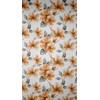 Eurofirany FIR / SOFIA / B + RUD 140X250 TRANS