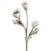 Eurofirany KW / FLORE / 518 / SRE 63X20 SREB (X6)