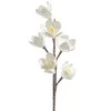 Eurofirany KW/FLORE/519/K K