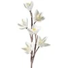 Eurofirany KW/FLORE/519/K K
