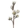 Eurofirany KW / FLORE / 519 / SRE 70X26 Sidabrinis (X6)