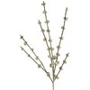 Eurofirany KW / FLORE / 629B 99X55 Žalias