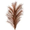 Eurofirany KW/FLORE/672/BR 110X20(X6) BR
