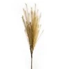 Eurofirany KW / FLORE / 704 / BEIGE BEIGE
