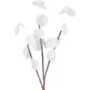 Eurofirany KW/FLORE/710/B B