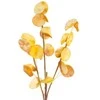 Eurofirany KW/FLORE/710/POM POMA+GELTONA