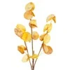 Eurofirany KW/FLORE/710/POM POMA+GELTONA