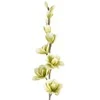Eurofirany KW/FLORE/713/SEE SOUL