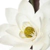 Eurofirany KW/FLORE/714/B B