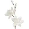 Eurofirany KW/FLORE/715/B B