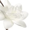 Eurofirany KW/FLORE/715/B B