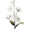 Eurofirany KW/FLORE/720/B B+CZAR