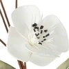 Eurofirany KW/FLORE/720/B B+CZAR