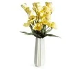 Eurofirany KW/FLORE/720/B B+CZAR