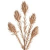 Eurofirany KW/FLORE/721/R.Z ROSE GOLD
