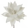Eurofirany KW/FLORE/732/BB