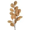 Eurofirany KW/FLORE/733/BEIGE BEIGE