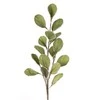 Eurofirany KW/FLORE/733/SEE SOUL
