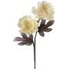 Eurofirany KW/FLORE/734/K K