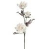 Eurofirany KW/FLORE/735/B B