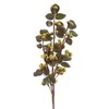 Eurofirany KW/FLORE/740/Žalias Žalias+BROWN