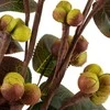 Eurofirany KW/FLORE/740/Žalias Žalias+BROWN