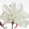 Eurofirany KW/FLORE/742/B B