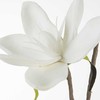 Eurofirany KW/FLORE/748/B B