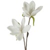 Eurofirany KW/FLORE/748/B B