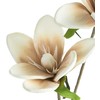 Eurofirany KW/FLORE/748/BEIGE BEIGE+K