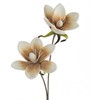 Eurofirany KW/FLORE/748/BEIGE BEIGE+K