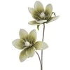 Eurofirany KW/FLORE/748/ZIE ZIEL+K