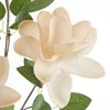 Eurofirany KW/FLORE/752/K K