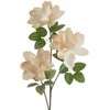 Eurofirany KW/FLORE/752/K K