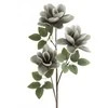 Eurofirany KW/FLORE/752/POP POPI