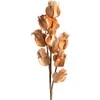 Eurofirany KW/FLORE/754/BROWN BROWN