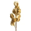 Eurofirany KW/FLORE/754/OLI OLIW