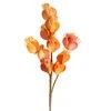 Eurofirany KW/FLORE/754/POM POMA+C.R