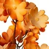 Eurofirany KW/FLORE/755/POM POMA+BR