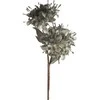 Eurofirany KW/FLORE/756/POP POPI