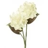 Eurofirany KW/FLORE/764/B B