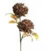 Eurofirany KW/FLORE/772/BROWN