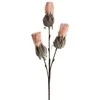 Eurofirany KW/FLORE/782/Rožinis Rožinis + POPI