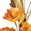 Eurofirany KW/FLORE/790/POM POMA+HERB
