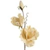 Eurofirany KW/FLORE/791/J.B J.BEIGE