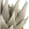Eurofirany KW/FLORE/792/POP POPI