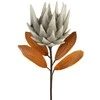 Eurofirany KW/FLORE/792/POP POPI
